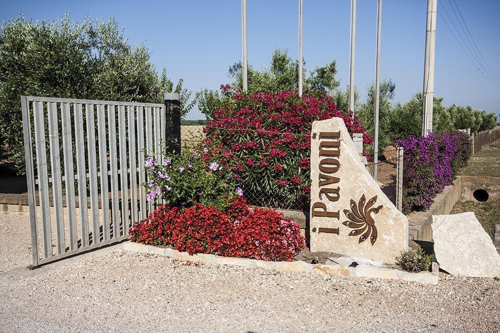 Apartmán Agrimare I Pavoni Montalto di Castro Exteriér fotografie