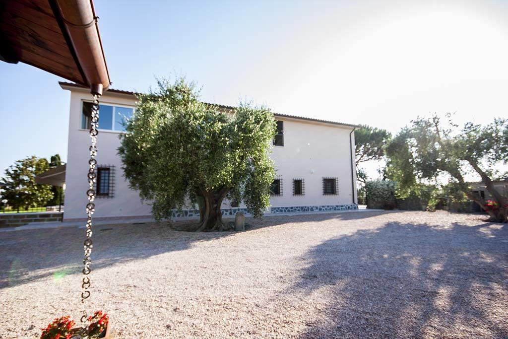 Apartmán Agrimare I Pavoni Montalto di Castro Exteriér fotografie