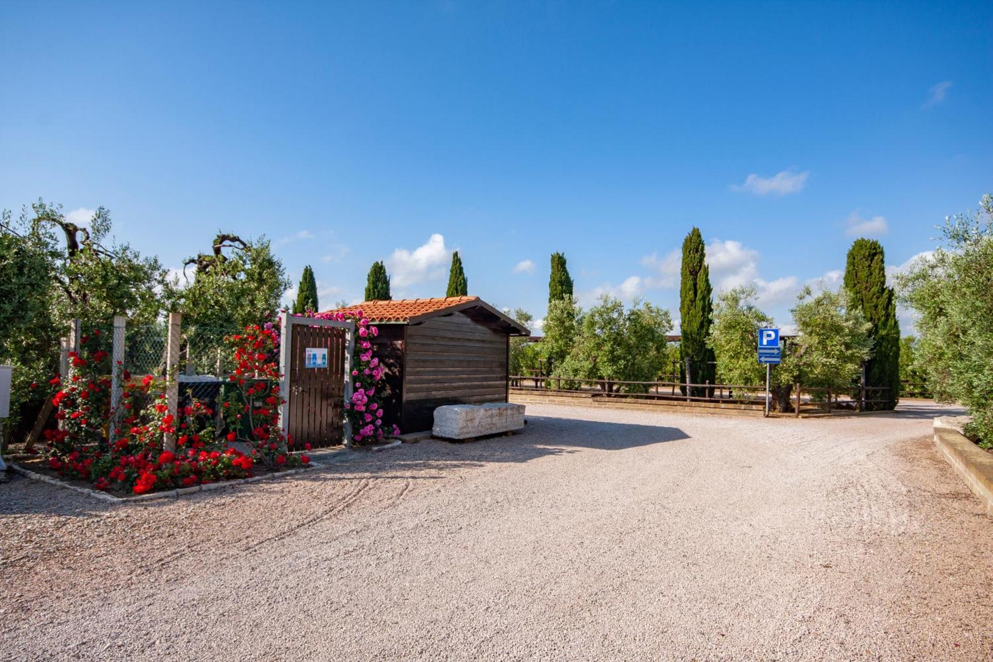 Apartmán Agrimare I Pavoni Montalto di Castro Exteriér fotografie