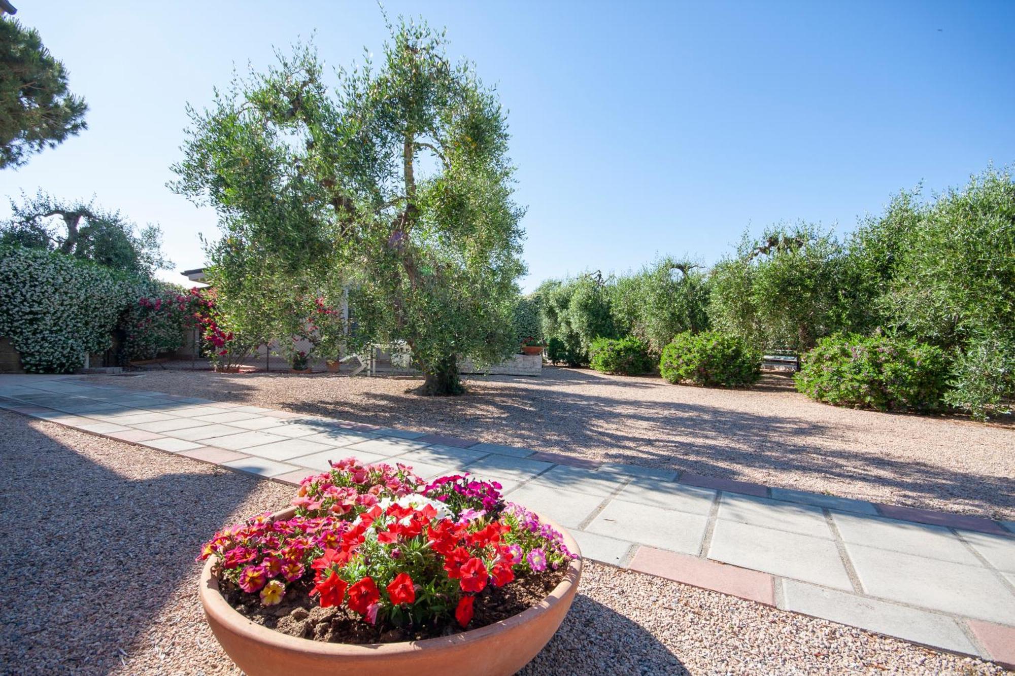 Apartmán Agrimare I Pavoni Montalto di Castro Exteriér fotografie